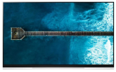 Телевизор LG OLED55E9PLA